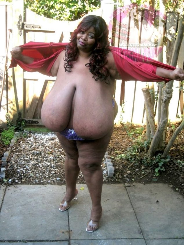 Энни Хокинс Тернер сиськи