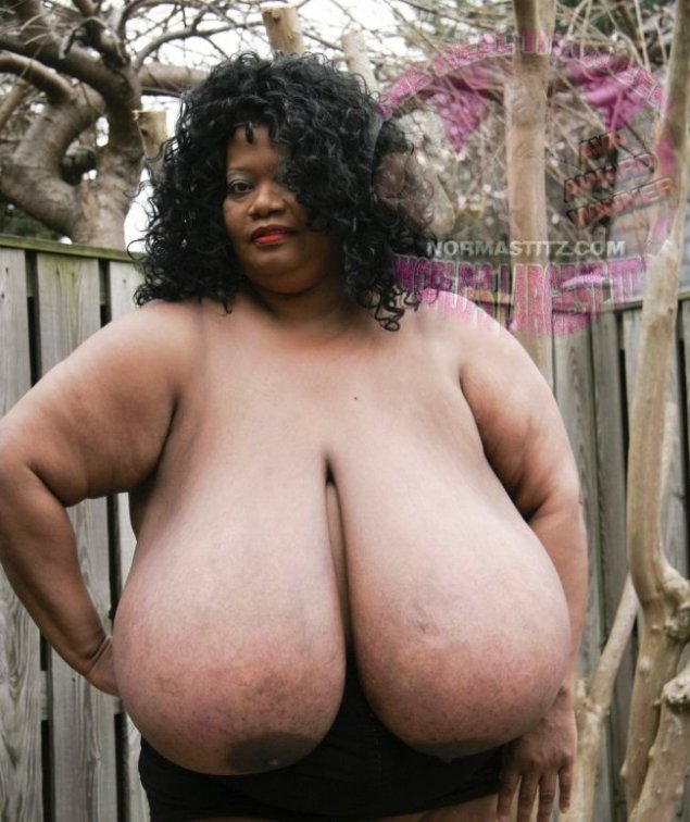 Энни хокинс-тернер