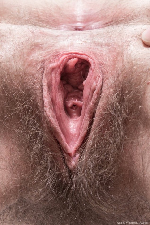 Влагалища крупным планом