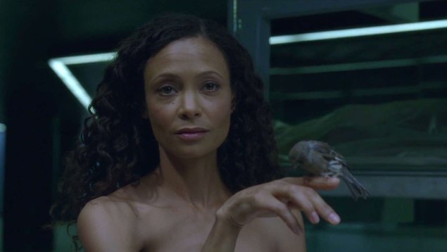 Тэнди ньютон мир дикого