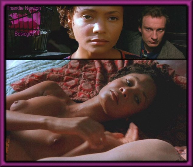 Тэнди ньютон максим