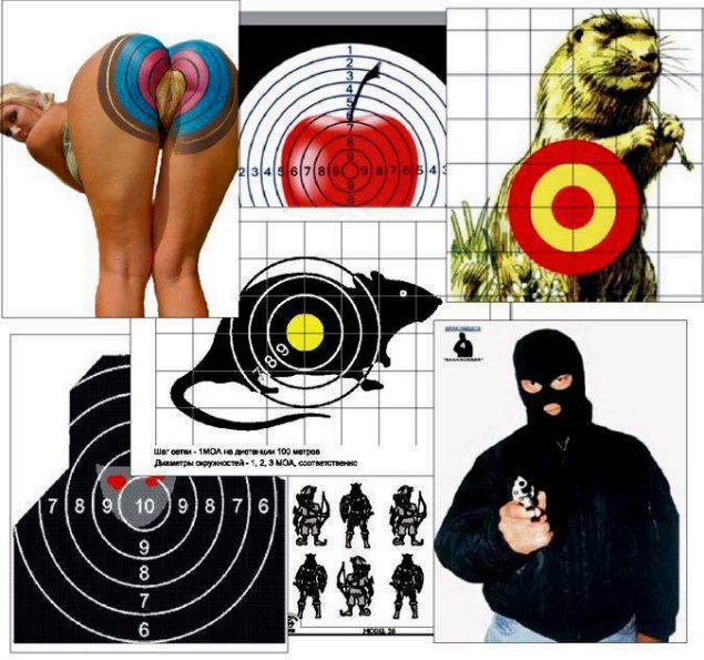 Прикольные мишени
