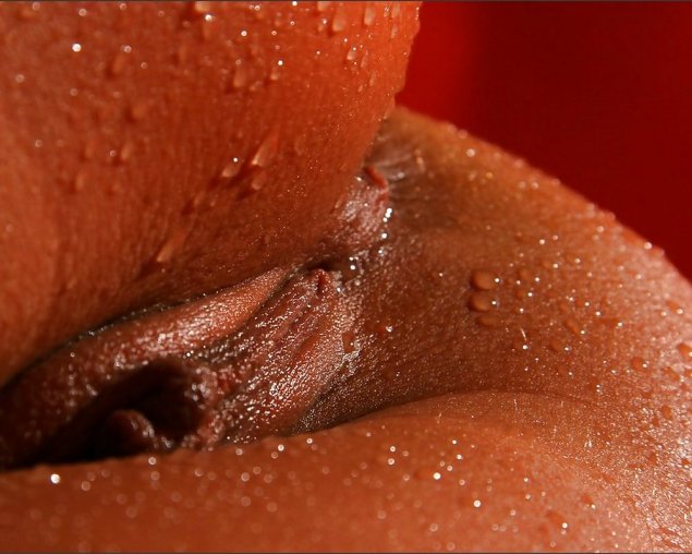 Шоколадная женская вагина