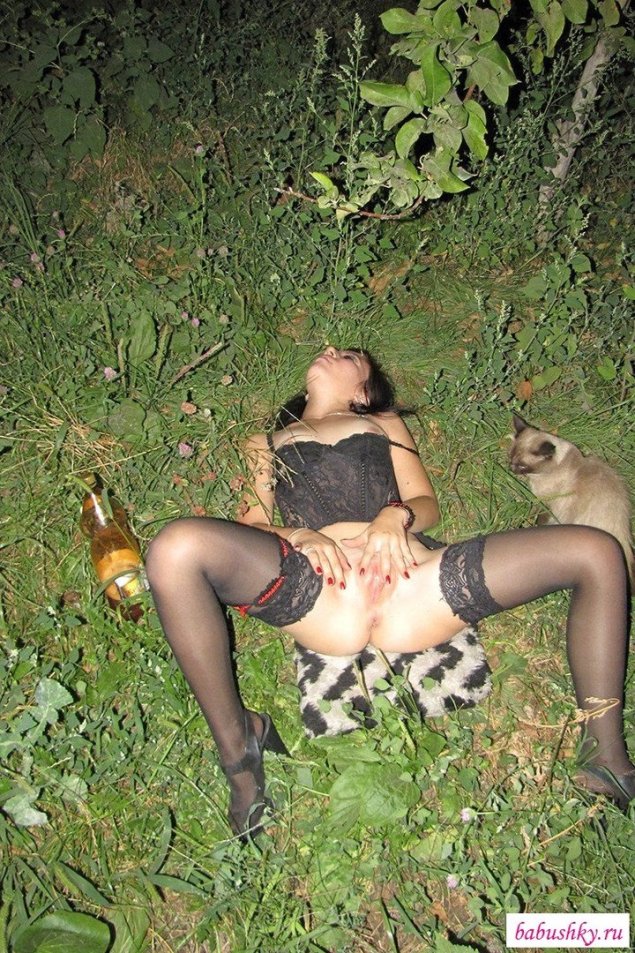 Домашняя кошка