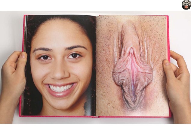 Портрет женских гениталий