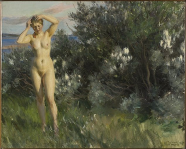 Андерс Цорн женская Нагота