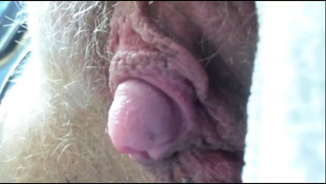 У животных есть клитор