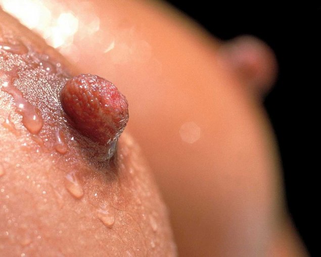 Откровенное порно