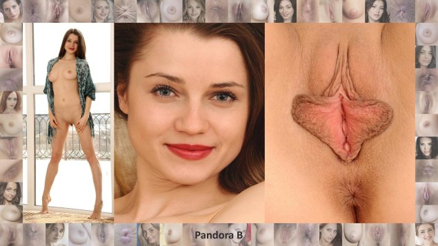 Женские гениталии