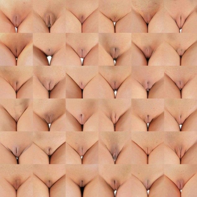 Женская писька виды