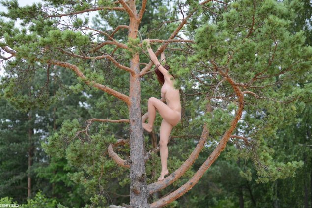 Голая женщина залезла на дерево