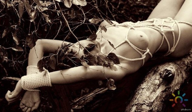 Голые женщины связанные в лесу