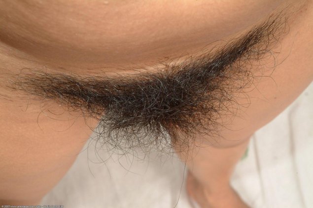 Лобковые прически