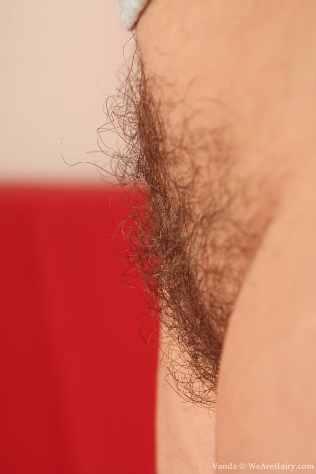 Маленькие волосы на лобке