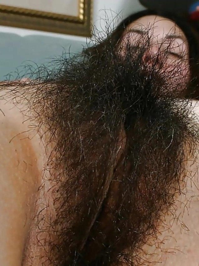Черные волосатые лобковые волосы