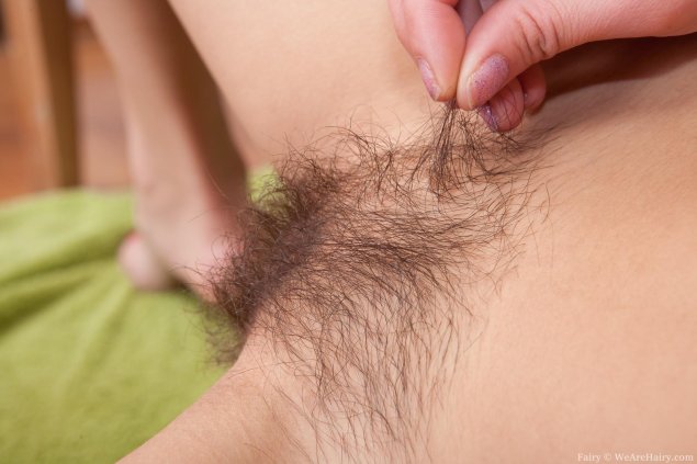 Волосатая лобок