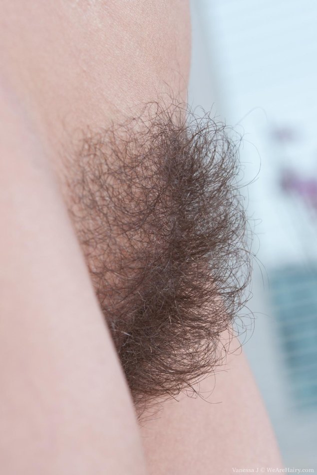 Самые длинные лобковые волосы