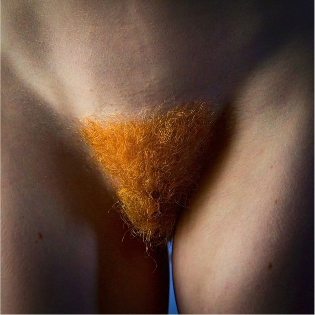 Рыжие лобковые волосы