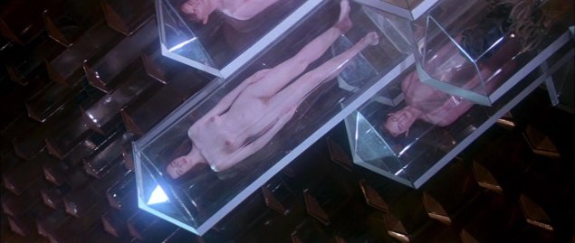 Жизненная сила