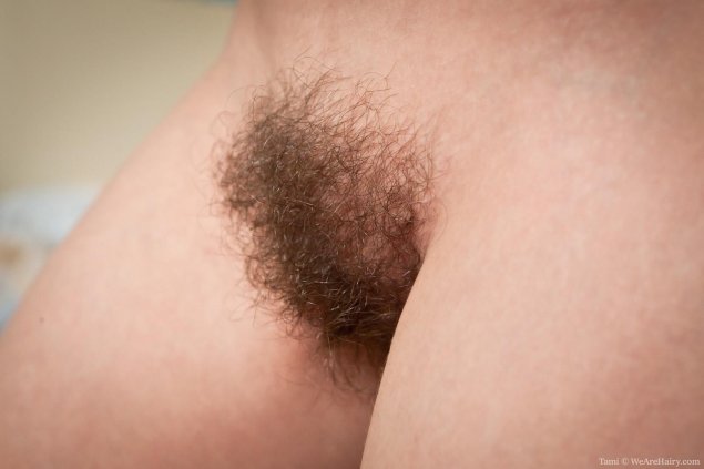 Волос на лобке