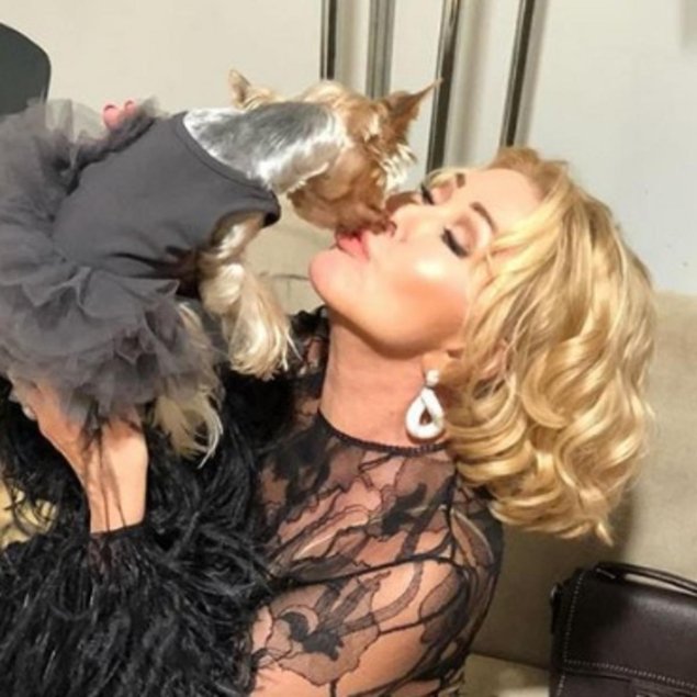 Собачка любови успенской