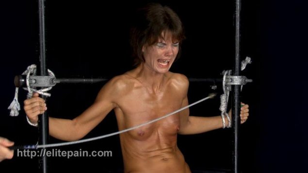 Elite pain wheel of pain