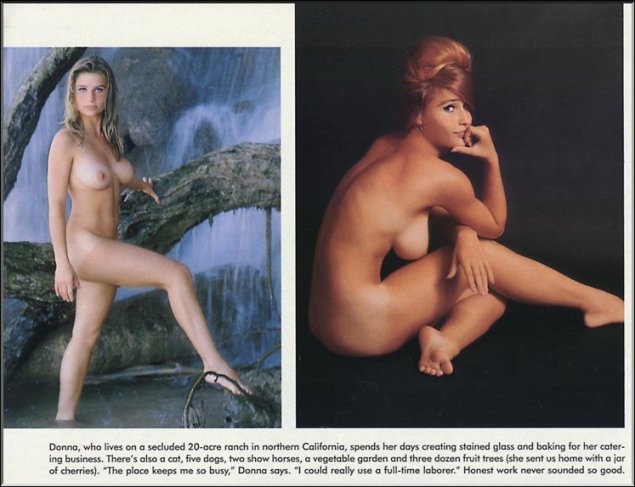 Донна мишель плэйбой