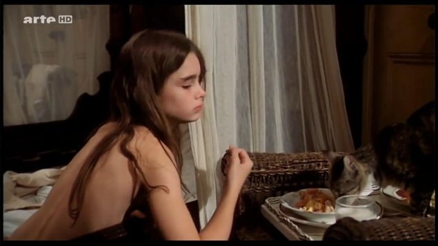 Прелестное дитя брук шилдс