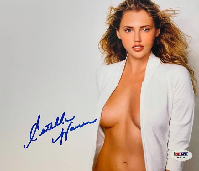 Уоррен эстелла