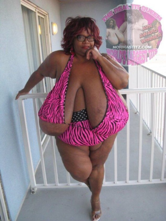 Энни хокинс-тернер