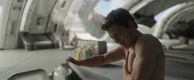 Черри том Холланд торс