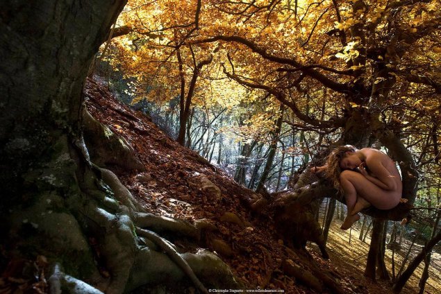 В осеннем лесу