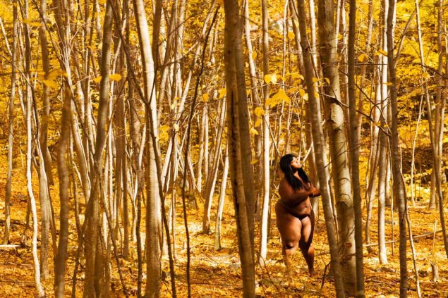 Голые люди в лесу