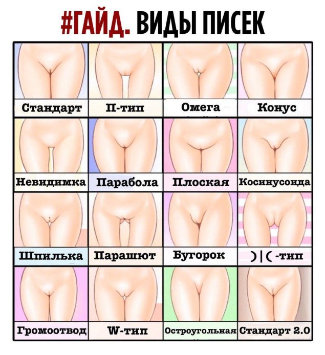 Разновидности женских влагалищ