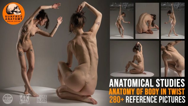 Anatomical study