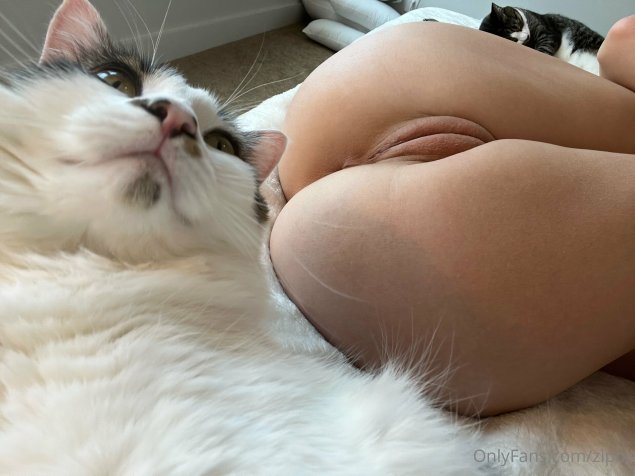 Эстетичная киска