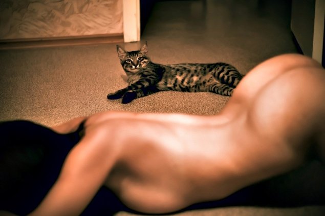 Порно с котами